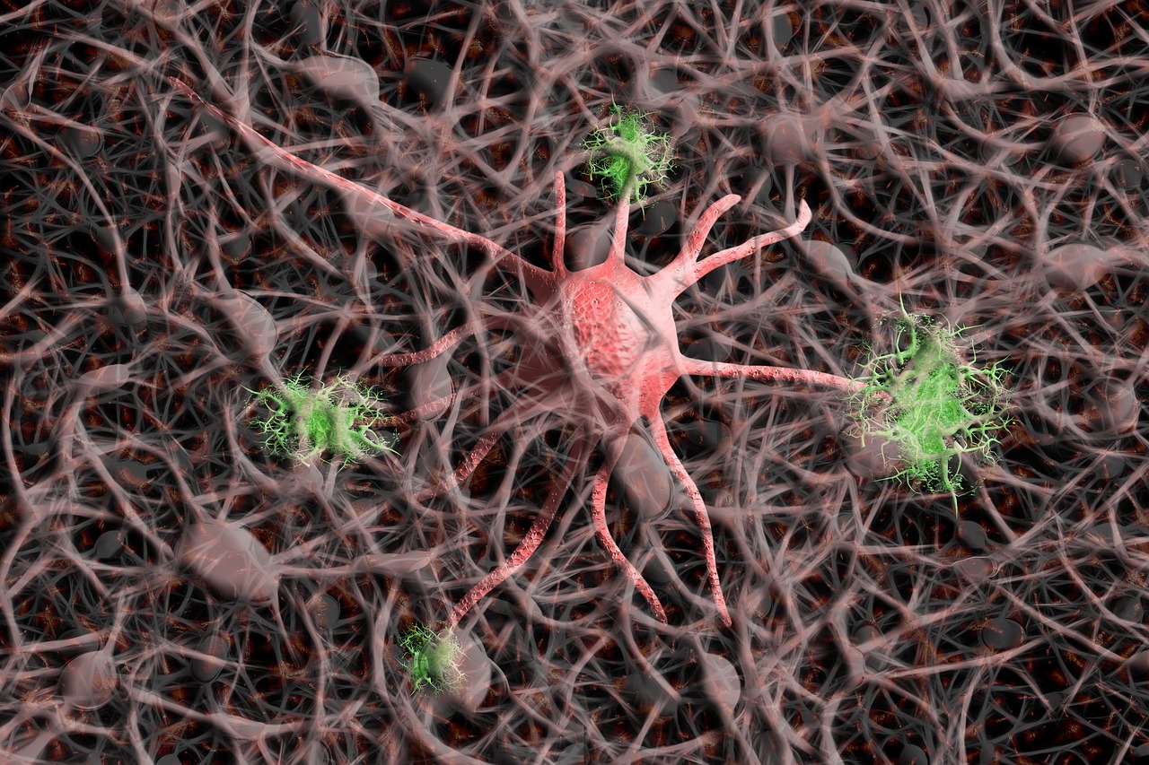 nerve cells, neurons, nervous system-5901770.jpg